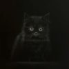 WHEN EYES ENCHANT YOU original